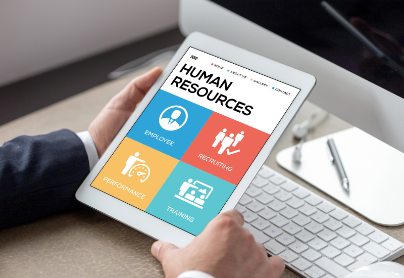 A person using a human resources software.